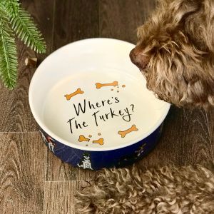 Christmas Themed Dog Food Bowl